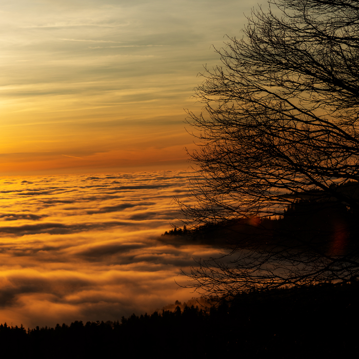 G-Klasse Expedition Deutschland. Meistern Sie die Wildnis im ultimativen Luxus: Abenteuer G-Klasse im Bayerischen Wald. Erleben Sie High-End Offroad-Action, First-Class Service und unvergessliche Momente. Jetzt Termin für 2026 anfragen! 