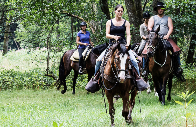 Karte Reitwege Bayerischer Wald. Freiheit spüren: Ihr mehrtägiger Trail durch Bayerns schönste Waldlandschaft. Sommerfrische zu Pferd: Schattenreiche Waldwege im Bayerwald und Badestellen an der Donau 2026.