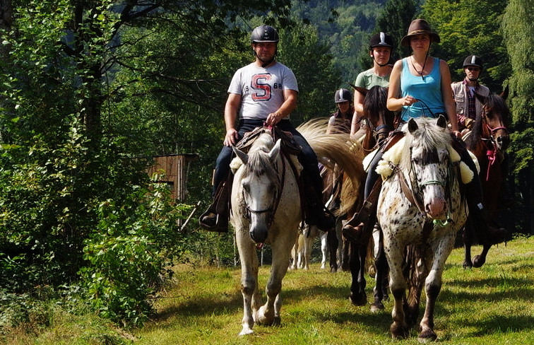 Superhorses Wanderreitführer. Goldener Herbst im Sattel: Farbenpracht vom Nationalpark bis zur Donau erleben. Frühlingsritt: Erleben Sie das Erwachen der Natur im Donautal und die kühlen Bergwälder im Mai.