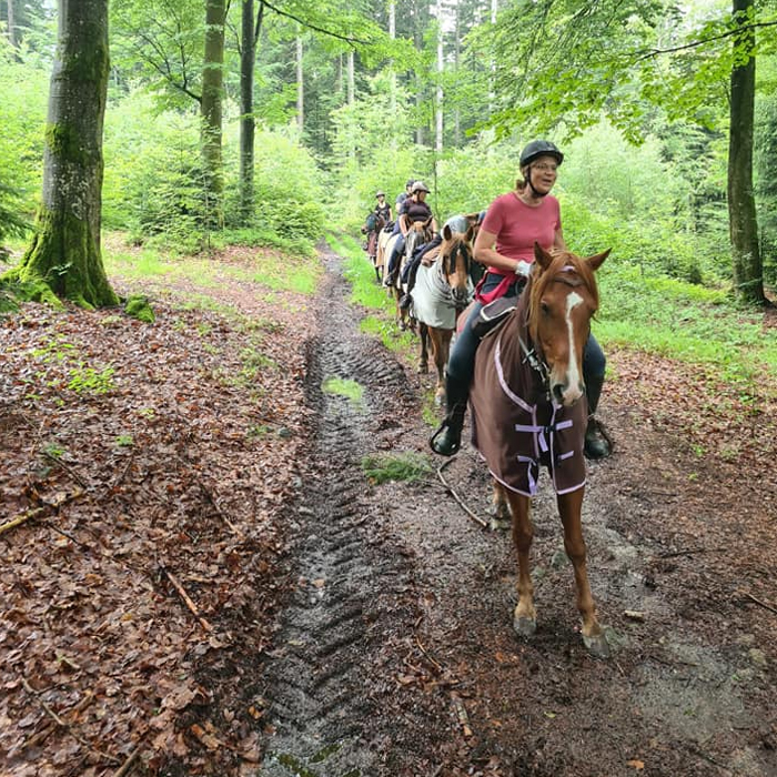 Wanderreit-Guide Bayern. Von den Bergen zum Strom: Mit Superhorses quer durch den Bayerischen Wald. Sicher im Stall: Zertifizierte Wanderreitstationen bieten 2026 besten Komfort für Ihr Pferd im Bayerwald.