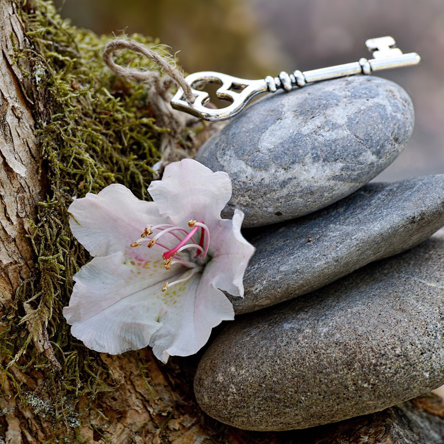 Selbsthilfe, Patient, Einsicht, Ursache, Entstehungsgeschichte, Methode, Hand, ermächtigen, überwinden, gestärkt, langfristig, Lösungsmöglichkeit, dynamisch, offen, Erkenntnisse, Wirksamkeit, Dialektisch-Behaviorale-Therapie, DBT, Marsha M. Linehan, Akzeptanz- und Commitmenttherapie, ACT, Steven C. Hayes, Schematherapie, Jeffrey E. Young, häufig, behandeln, Störung, Technische Universität Dresden, Gesundheit, betroffen, Stiftung Deutsche Depressionshilfe, Bundesbürger, behandlungsbedürftig, zentral, Behandlungsansatz, Ziel, konkret, verbunden, erarbeiten, Aktiv, Bewältigung, belastend, schmerzlich, Erlebnis, Trennung, Tod, Jobverlust, Umgang, steuern, Selbsteinsicht, Selbstakzeptanz, Selbstwertgefühl, Selbstfürsorge, Umgang, Stärkung, Selbstsicherheit, begegnen, Perfektionsanspruch, Gestaltung, sozial, Balance, Nähe, Abgrenzung, Depressiv, bipolar, Angststörung, Zwangsstörung, Reaktion, Posttraumatisch, Belastungsstörung, Burnout-Syndrom, Chronisch, Schmerzstörung, Somatoform, Essstörung