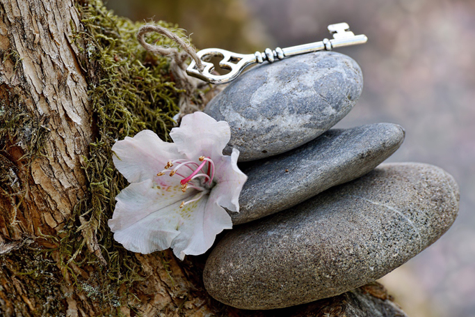 Dauernervosität, Schlimm, Angstauslösend, unerwartet, Unfall, Angehörige, Freunde, Anspannung, Herzklopfen, Benommenheit, Schwitzen, Muskulatur, Magenbeschwerden, quälend, erlebt, immergleich, Zwangsgedanke, Zwangshandlung, wehren, übernehmen, innerlich, Funktion, Vorbeugung, Eintreten, unwahrscheinlich, unheilvoll, Ereignis, schützen, Schutz, schädlich, aggressiv, Handlung, befürchtet, ausführen, Ekel, Zwangsgedanke, nachvollziehbar, Unterdrückung, verstärkt, Qual, Kreislauf, Grübelzwang, zwanghaft, Idee, aufdrängend, bildhaft, endlos, Abwägen, zeitfressend, entziehen, Häufig, beinhalten, aggressiv, schambesetzt, lösen, Ekel, Unbehagen, Betroffene, verheimlichen, trauen, professionell, Zwangserkrankung, vierthäufigst, Neigung, unbehandelt, chronisch, Ausdehnung, Rückzug, Familienleben, Sozialleben, Entscheidungsfähigkeit , alltäglich, Entscheidung, Zwangsritual, Häufig, Haut, blutet, zigfach, wiederholt, peinlich, Sauberkeit, Eleonore Mitterer, Heilpraxis für Psychotherapie, Pfarrkirchen, Mitterskirchen