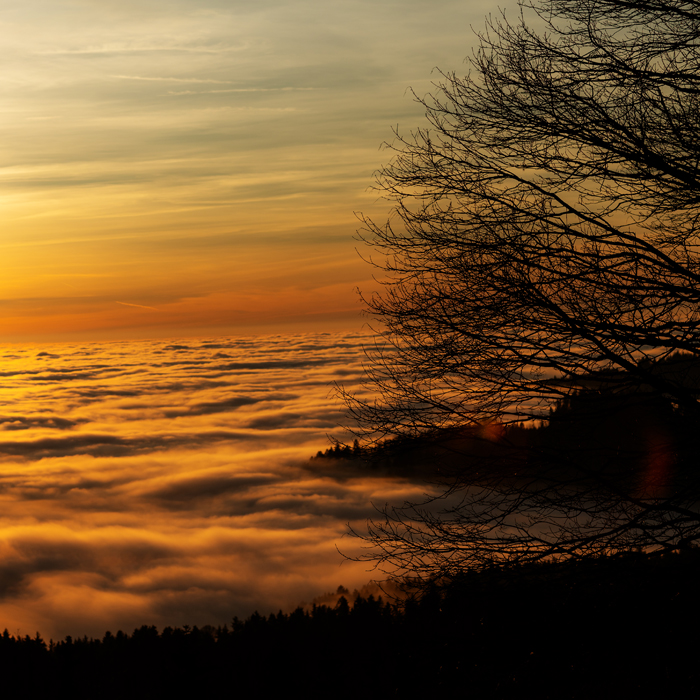 Künstlervermittlung Straubing. ⭐ Meisterhafte Events: Straubing Event in Straubing-Bogen. Qualität, auf die Sie sich verlassen können. Jetzt Ihr Event-Konzept anfordern!