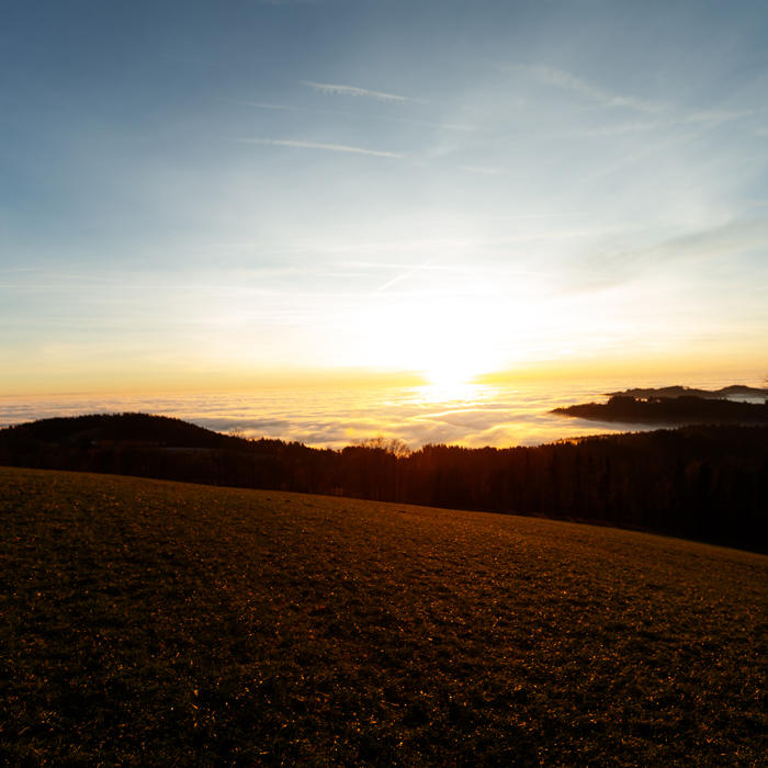 Gesundheitsrisiken, Bundesamt für Strahlenschutz, BfS, rät, dringend, Nutzung, UV-Strahlung, krebserregend, Risiko, Hautschäden, Hautkrebs, erhöht, Schutz, Sonne, künstlich, Bräune, ausreichend, Sonnenbrand, schützend, Lichtschwiele, UV-B-Strahlen, gebildet, Verbot, Minderjährige, Nutzung, Kinder, Jugendliche, unter 18 Jahren, gesetzlich, verboten, Straubing, Events, Hochzeiten, Hochzeitsplanung, Kunst, Kultur, Veranstaltungen, Musik, Konzerte, Party, Topicevent, Jonas Feilmeier, Agentur, Mitterfels, Haselbach, Leidenschaft, Momente, Jonas, Sonnenstudio, Solarium, Sonne, Braun, Jonas Feilmeier, Mitterfels, Straubing, Haselbach, Topicevent, Eventagentur, organisiert, zeitlich, begrenzt, oft, spektakulär, Ereignis, bestimmt, Zweck, erfüllt, Beispiel, Feier, kulturell, Darbietung, Messe, Produktpräsentation, zeichnet, Inszenierung, Interaktion, Teilnehmer, multisensorisch, Erlebniss, abzielen, Alltag, abheben, besondere, Atmosphäre, schaffen, Begriff, stammt, Englisch, bedeutet, Ereignis, Konzerte, Festivals